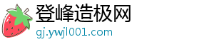 登峰造极网	